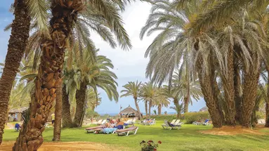 ODYSSEE THALASSO & SPA