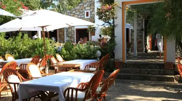 OKALIPTUS OTEL