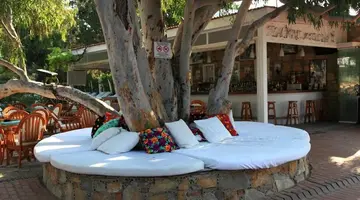 OKALIPTUS OTEL