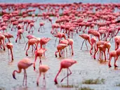 Oko w Oko z Ngorongoro