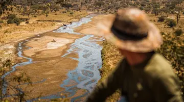 Oko w Oko z Ngorongoro