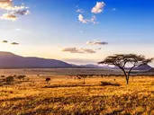 Oko w Oko z Ngorongoro