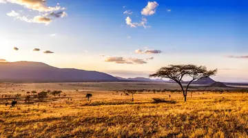 Oko w Oko z Ngorongoro