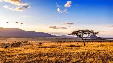 Oko w Oko z Ngorongoro