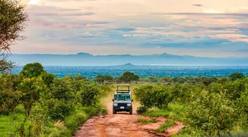 Oko w Oko z Ngorongoro
