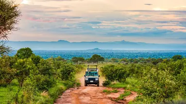 Oko w Oko z Ngorongoro