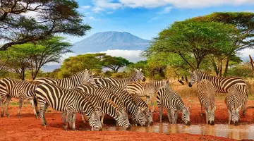 Oko w Oko z Ngorongoro