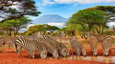 Oko w Oko z Ngorongoro