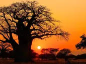 Oko w Oko z Ngorongoro