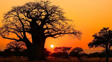Oko w Oko z Ngorongoro