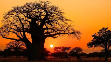Oko w Oko z Ngorongoro