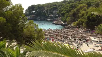 Ola Cala d'Or