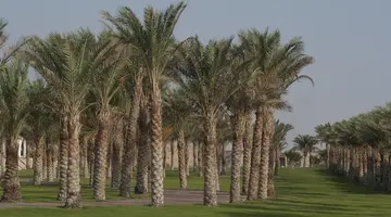 Old Palace Resort