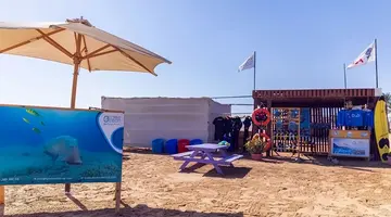 Old Palace Resort