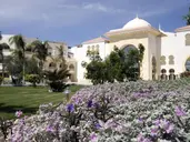 Old Palace Resort