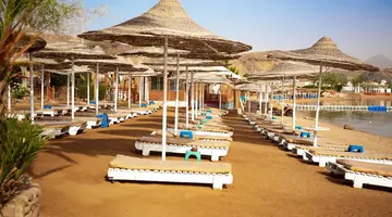 Old Vic Sharm