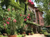 Oleander House