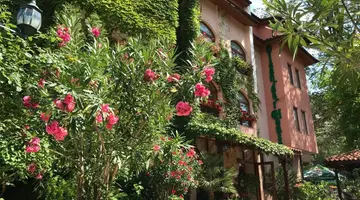 Oleander House