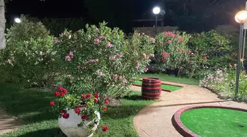 Oleander House