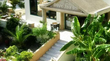 Olive Garden Hotel