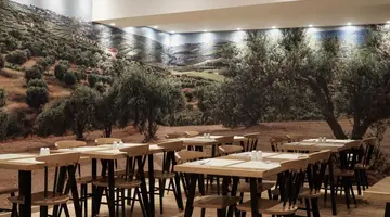 Olive Green Hotel