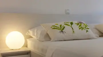 Olive Tree Apartments