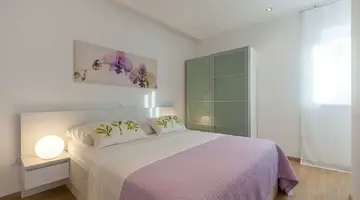 Olive Tree Apartments