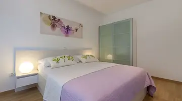 Olive Tree Apartments