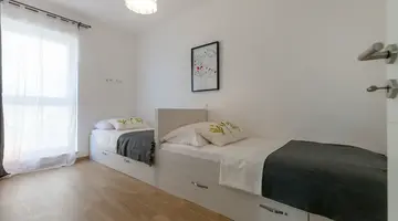 Olive Tree Apartments
