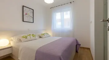 Olive Tree Apartments