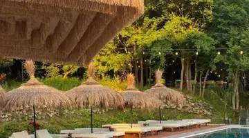 Olivia s Hill Resort