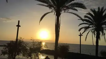 Ona Palm Beach