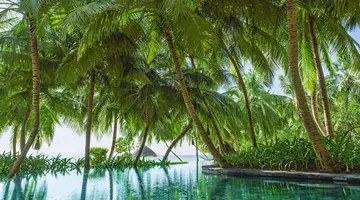 One&Only Reethi Rah 5