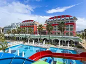 ORANGE COUNTY BELEK