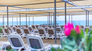 ORANGE COUNTY BELEK