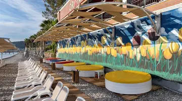 ORANGE COUNTY KEMER