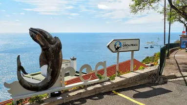 Orca Praia