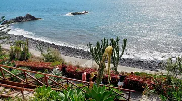 Orca Praia