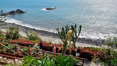 Orca Praia