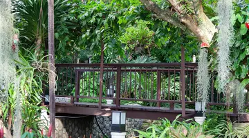 ORCHIDACEA RESORT