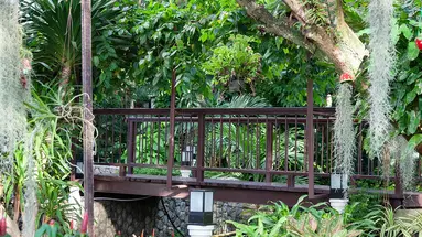 ORCHIDACEA RESORT