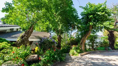 ORIENTAL PEARL BEACH RESORT (HOANG NGOC BEACH RESORT)