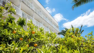 ORSAN HOTEL BY AMINESS