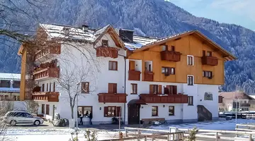 Orso Grigio Carisolo