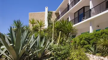Osiris Ibiza