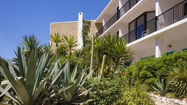 Osiris Ibiza
