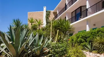 Osiris Ibiza