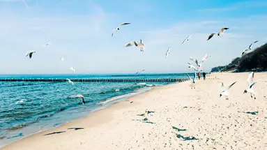 Ośrodek Wypoczynkowy Alcest