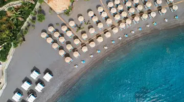 Out of the Blue Beach Resort
