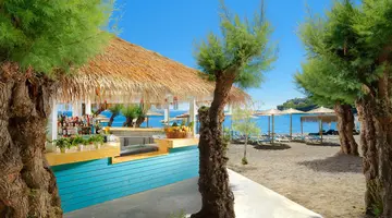 Out of the Blue Beach Resort